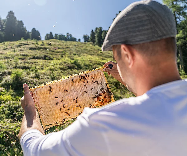 Der Name „Schwarm24“