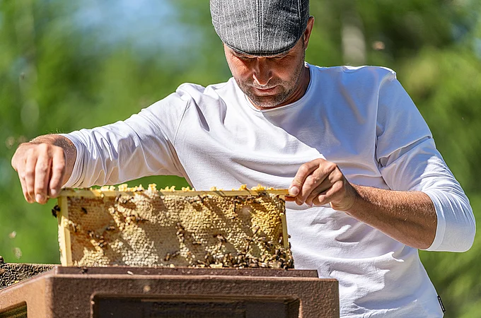 Honig 150g | Blütenpollen 11g | Schmusfett