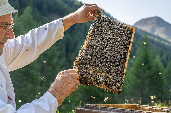 Cremehonig mit Himbeeren 250g